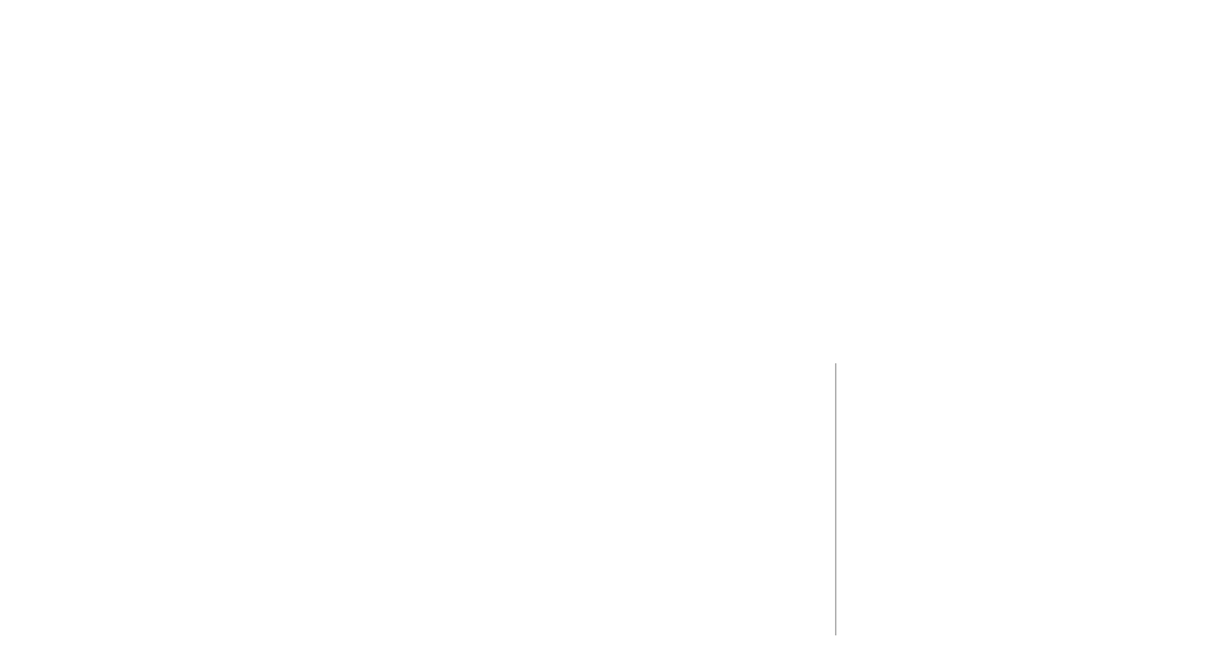 Simplefly logo design